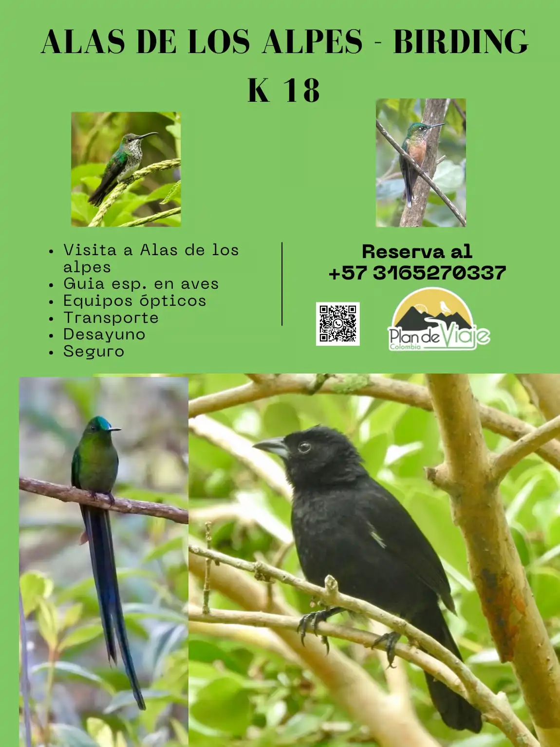 Alas de los Alpes - Birding