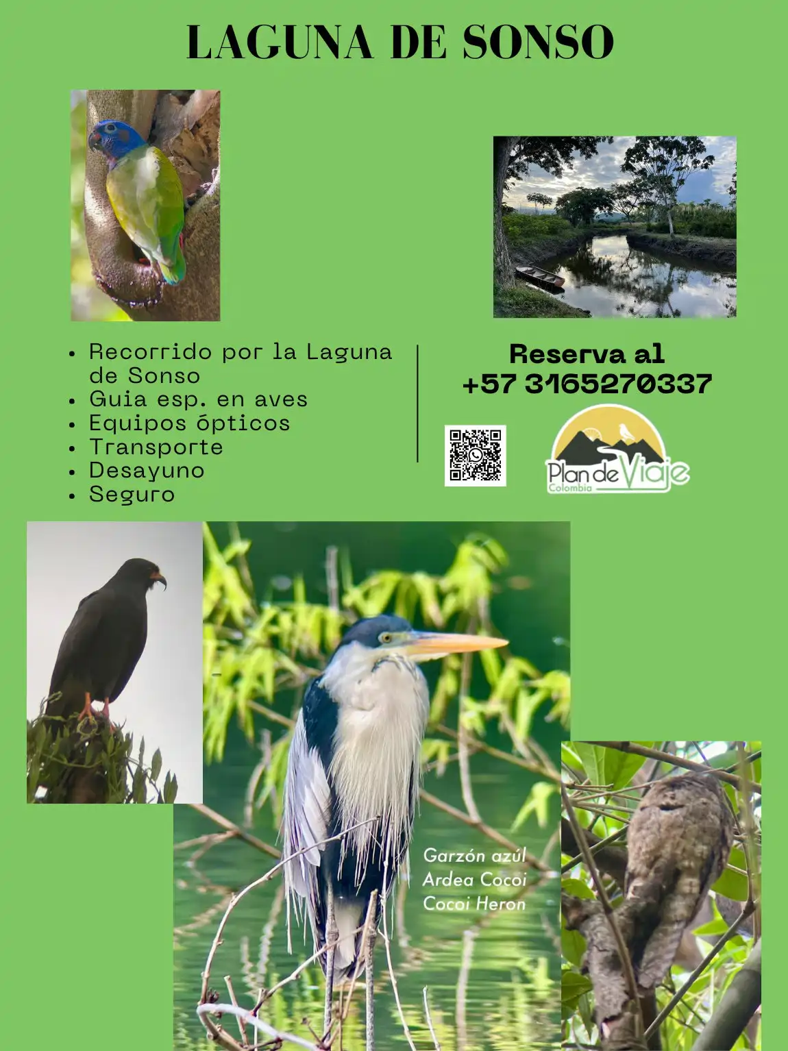 Birding - Laguna de Sonso - Wetlands - Sitio Ramsar - Imagen 4
