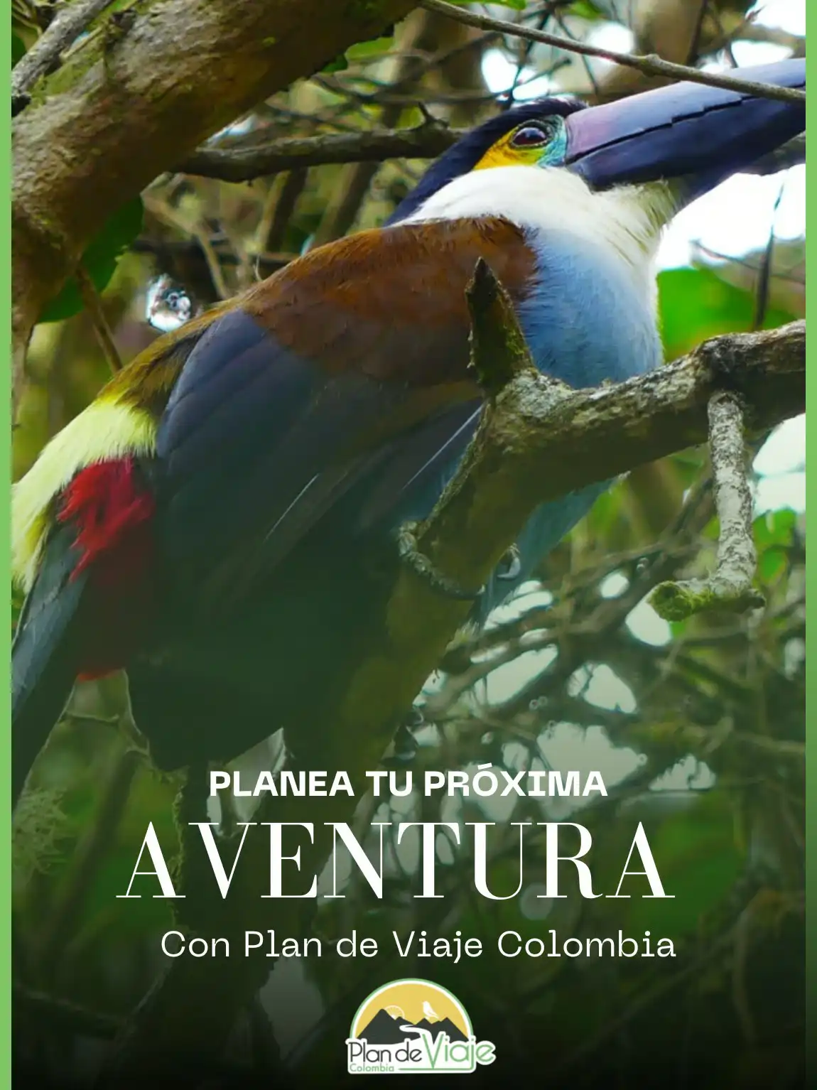 Birding - Laguna de Sonso - Wetlands - Sitio Ramsar