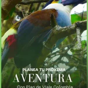 Palmira, Nido Urbano