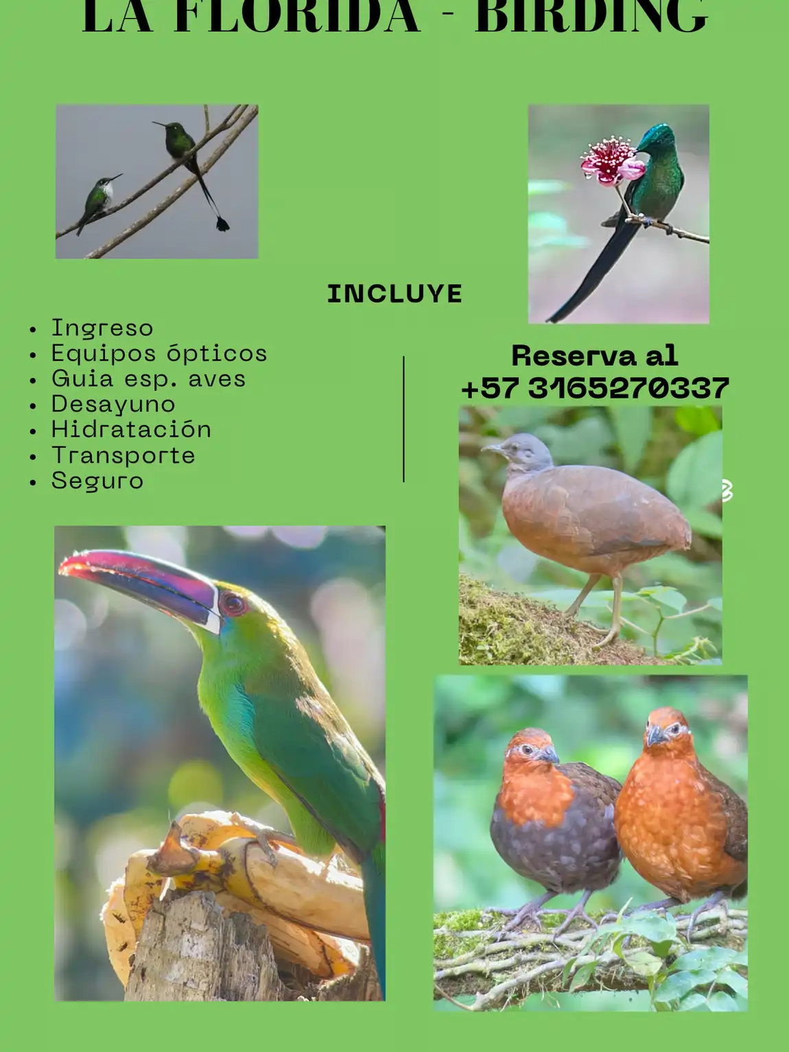 Reserva Natural San Felipe - Birding & Wellness - Imagen 2